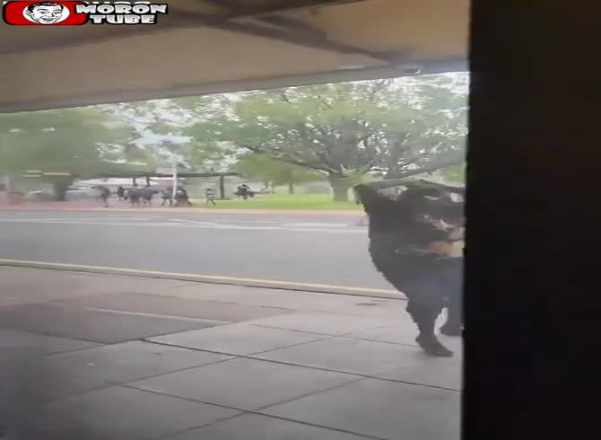 Video: Riots in Australia following a young man's death in a police pursuit